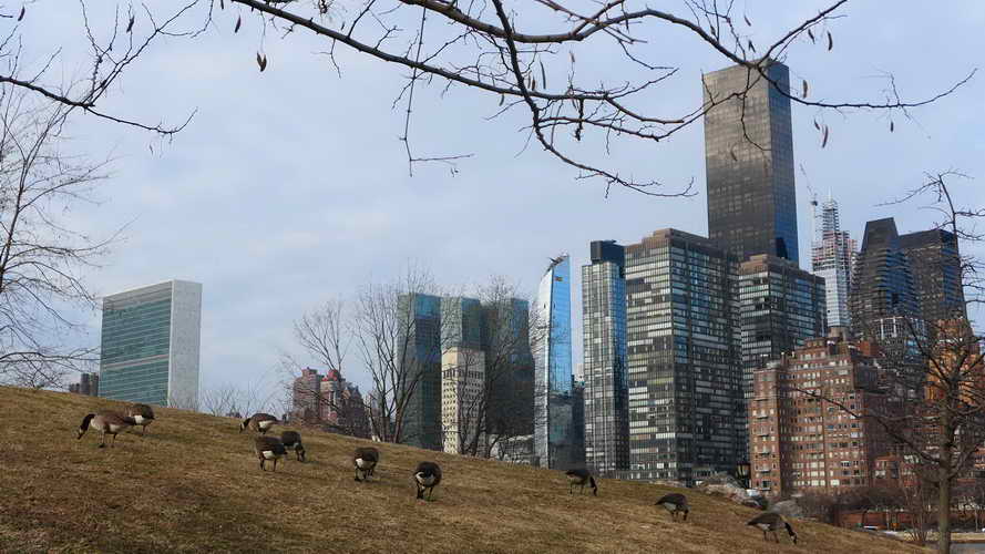 NYC_2020-01-27 08-43-26_P1070846